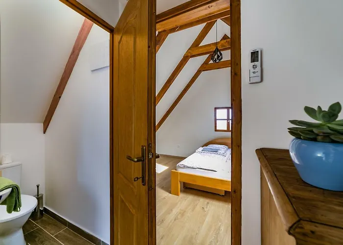 Birtok Kései Szüret Apartman Tagyon