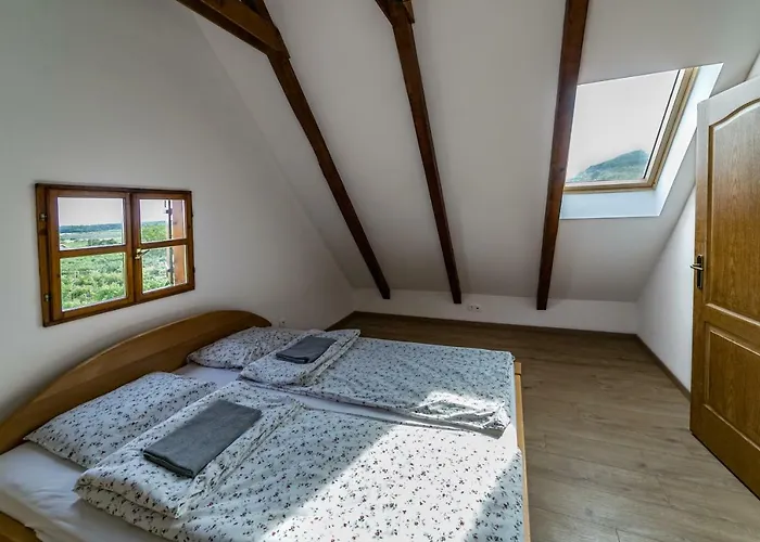 Birtok Kései Szüret